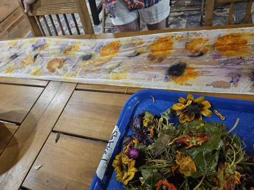 20240807_201703.webp (Copy)