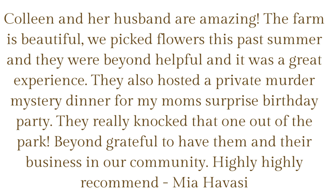 Text praising Colleen and her husband for their contributions, including hosting a surprise birthday party, with mentions of flowers, a private murder mystery dinner, and community involvement.