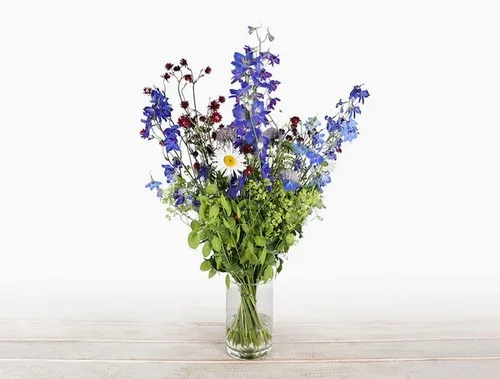 summer+bouquet+5.webp