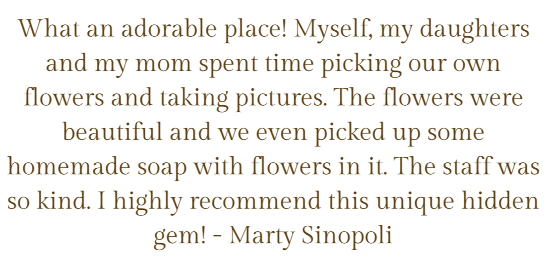 A heartfelt review about a flower picking experience, mentioning harvesting flowers, taking pictures, buying homemade soap with flowers, and recommending the place.
