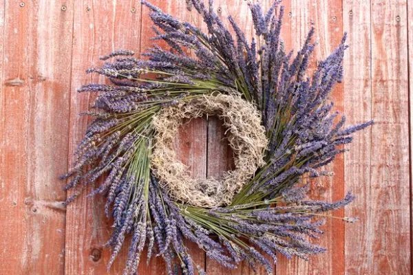 Lavender Wreath