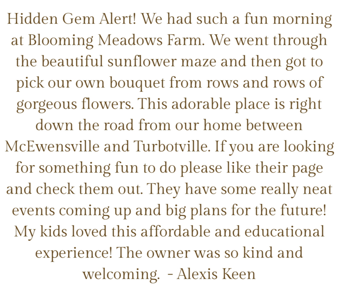 A colorful, handwritten note with green and black text. It describes a fun morning at Blooming Meadows Farm, exploring a sunflower maze and picking flowers, emphasizing the farm's location, events, and family-friendly activities, and ends with a positive review of the experience.
