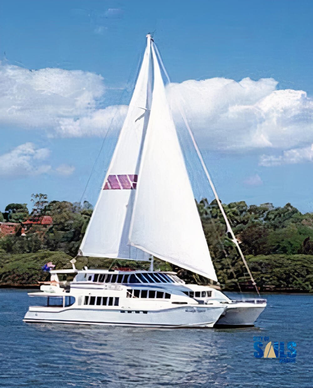 sailing catamaran for sale nz