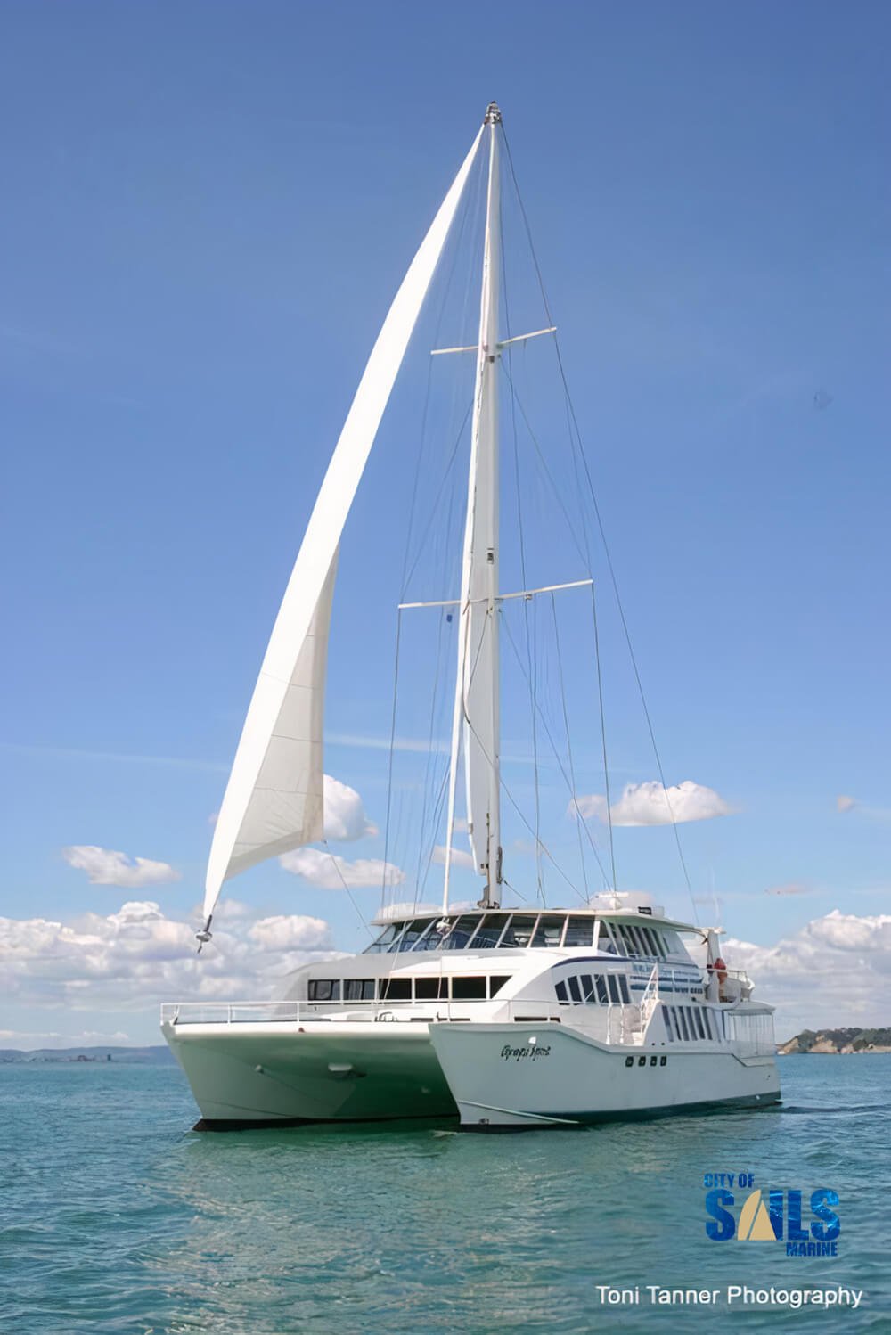 sailing catamaran for sale nz