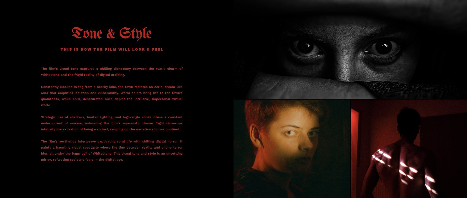 ‎Film Pitch Deck Template - Sinister Obsession.‎024.jpeg