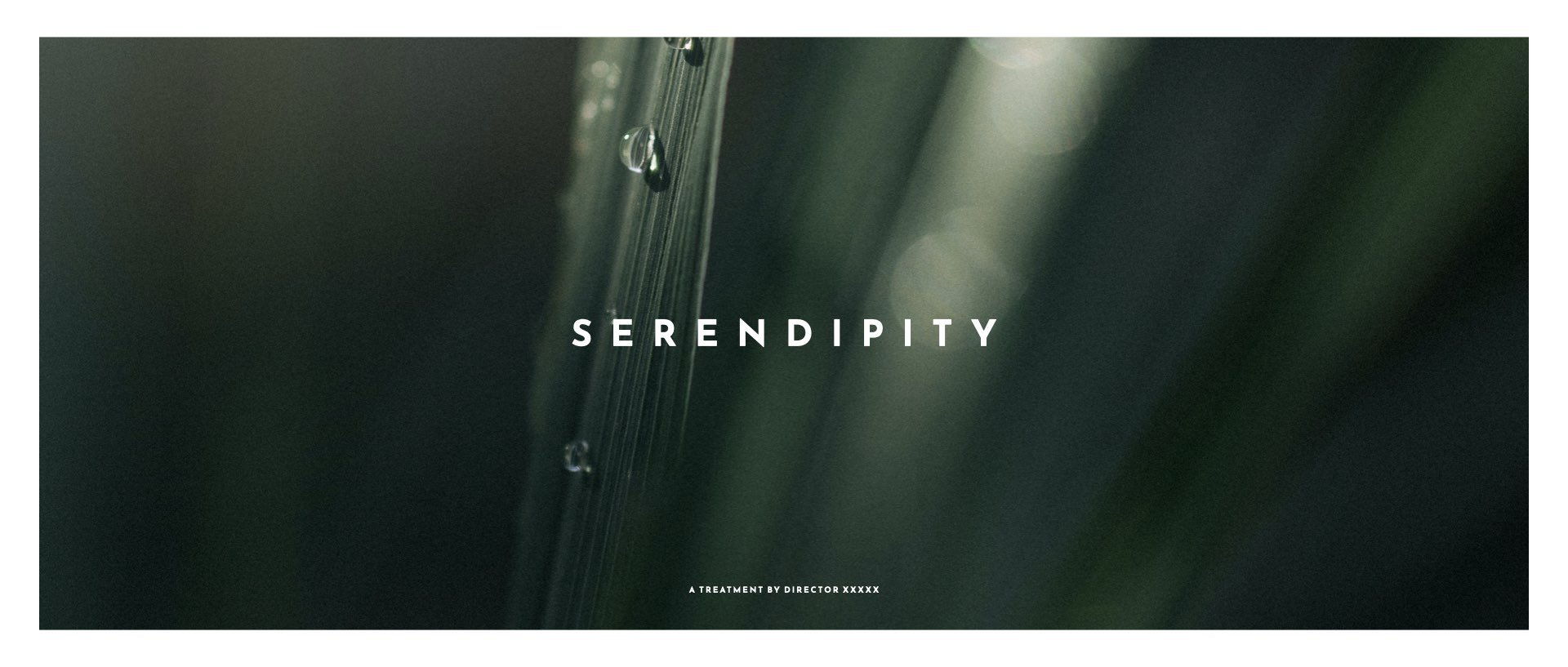 ‎Director's Treatment Template - Serendipity.‎001.jpeg