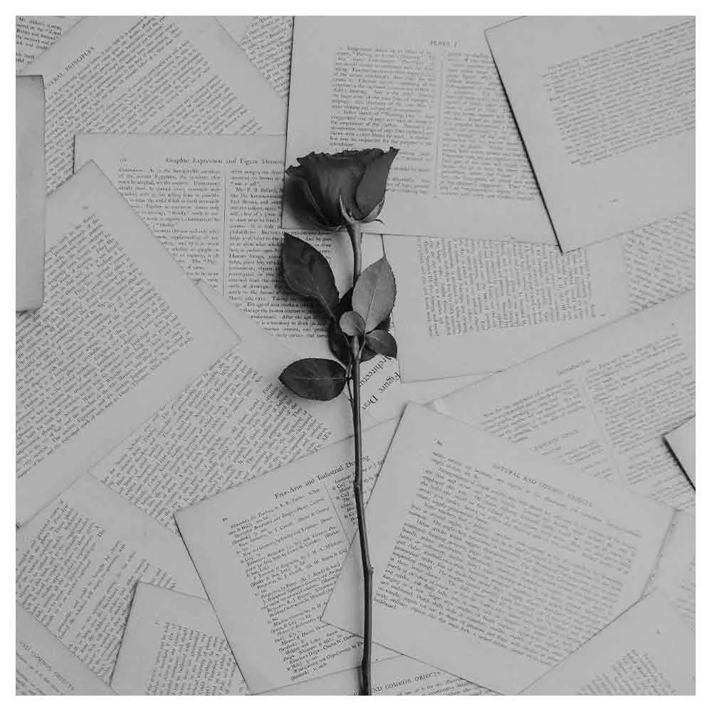 Unveiling 101 Creative Love Letter Ideas to Woo Your Special Someone