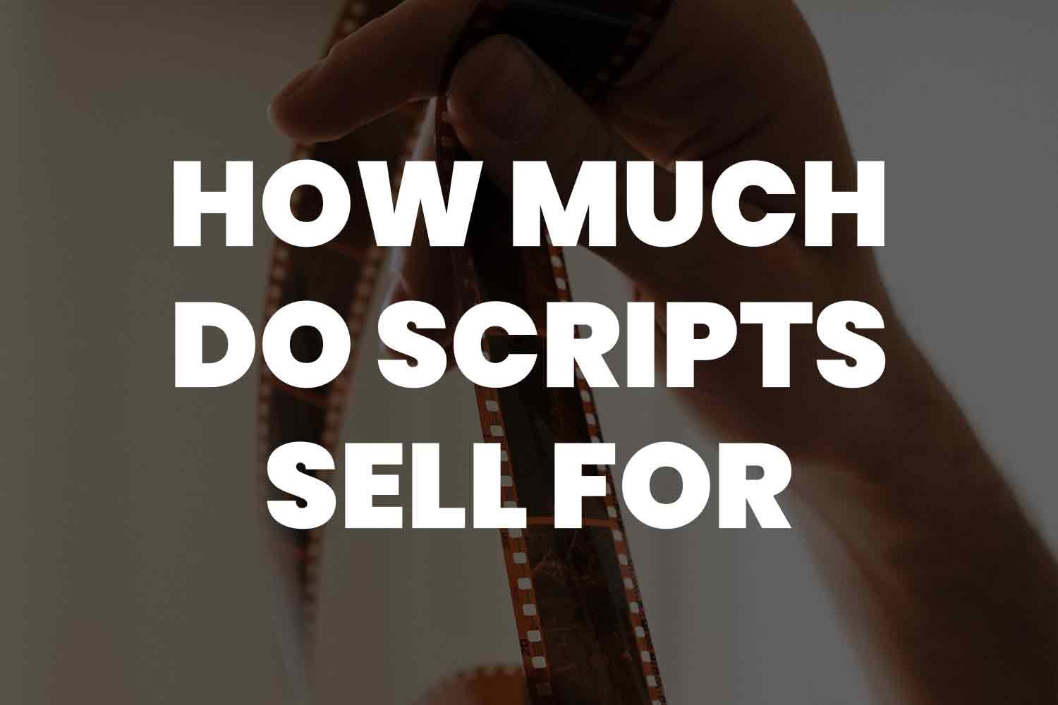 How much do scripts sell for