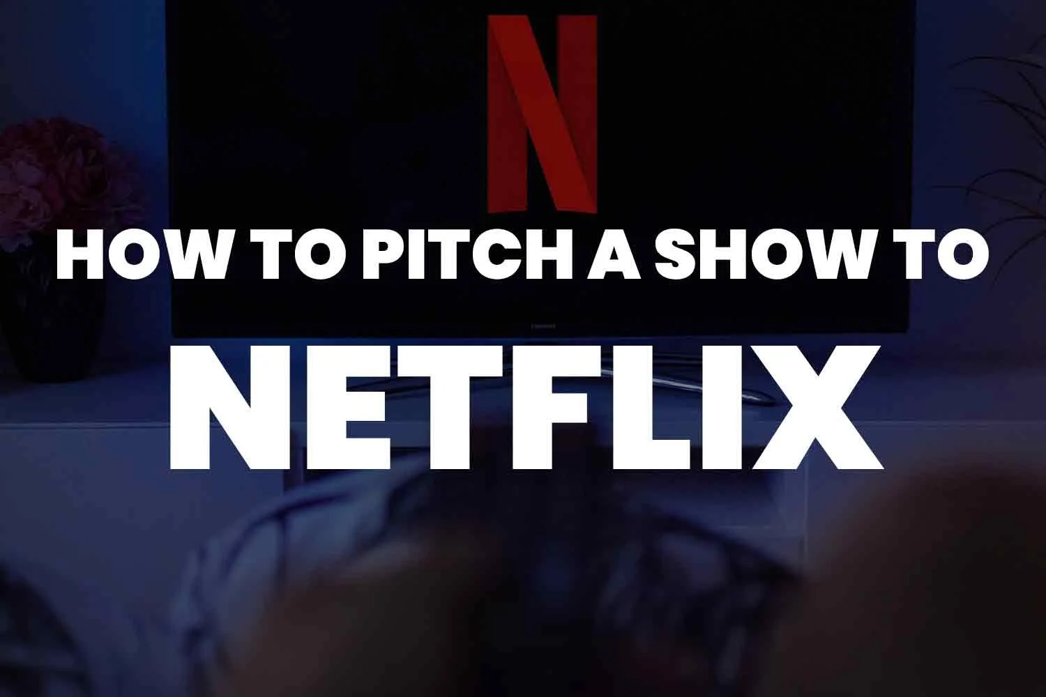 How To Pitch A Show To Netflix? The Ultimate Guide
