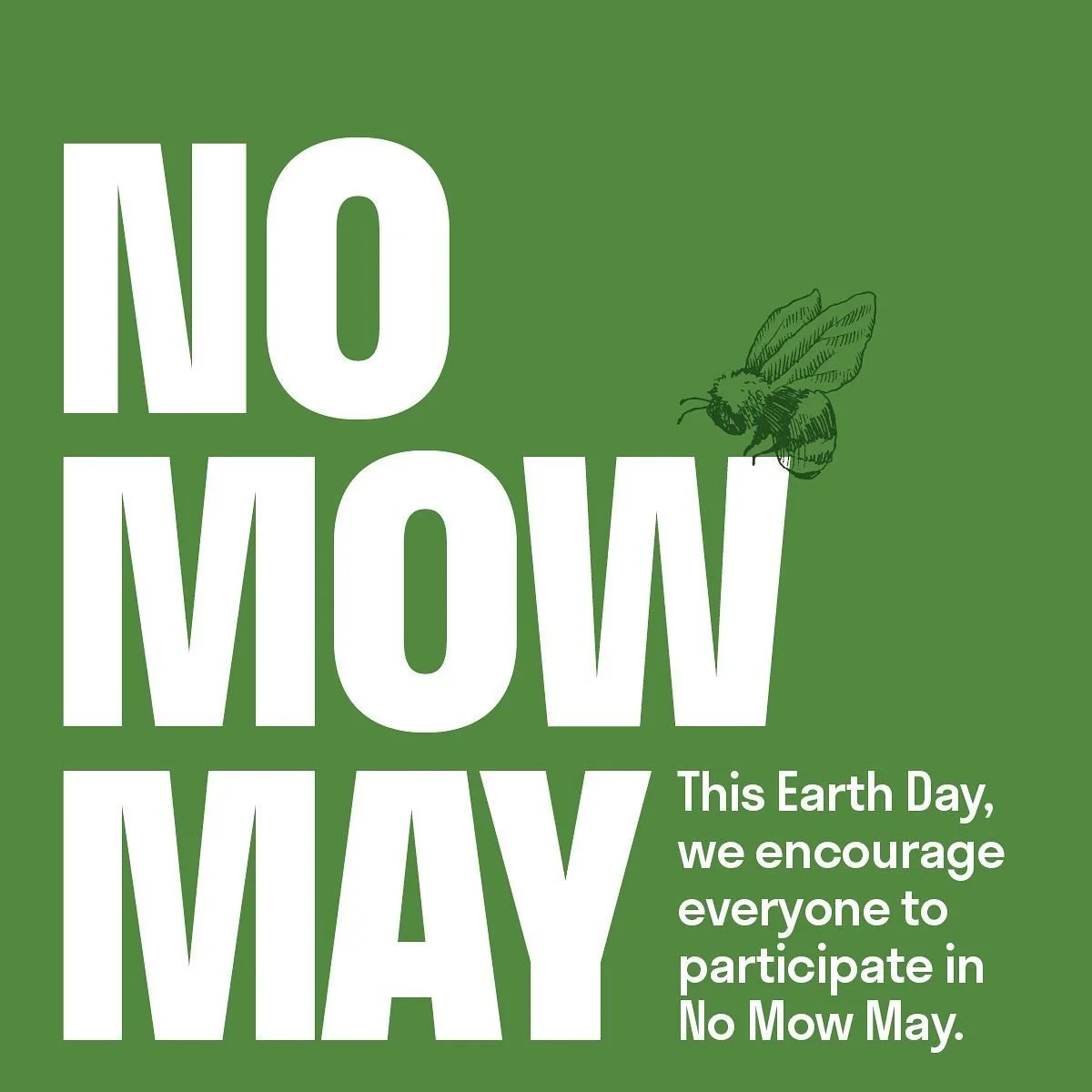 No Mow May