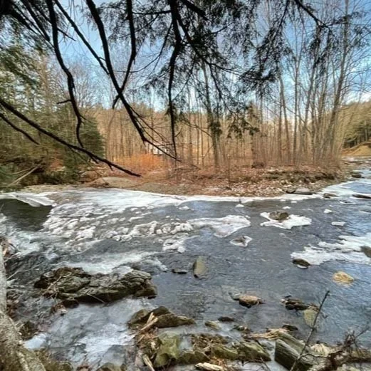 How to walk like a deer