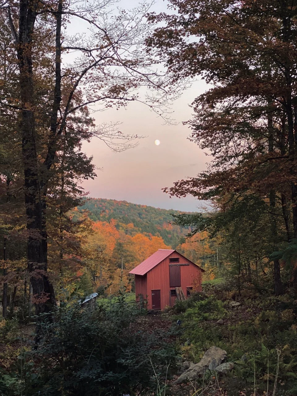 View of from the barn at sunset