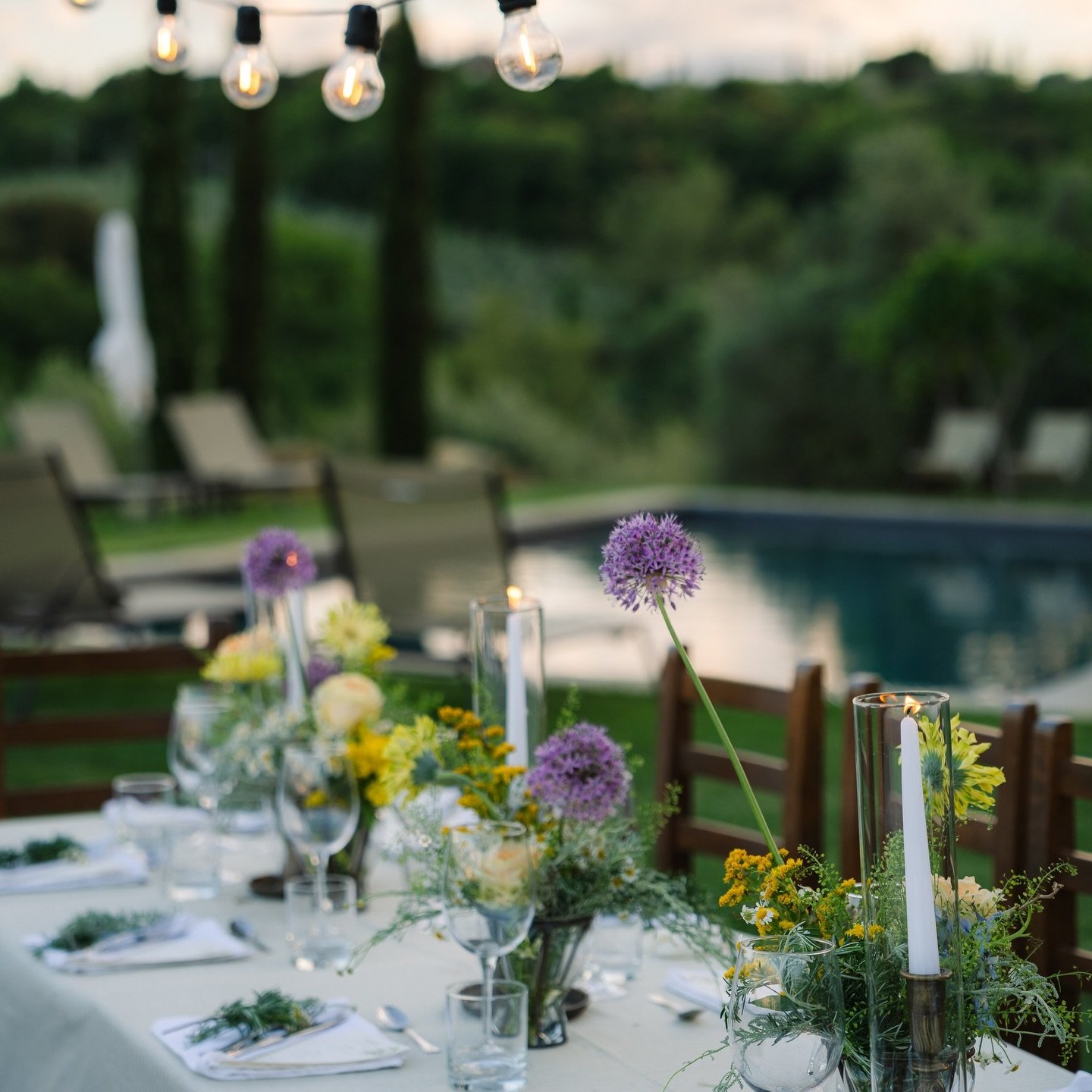 As we celebrate Thanksgiving, we&rsquo;re reminded how much this place has been shaped by the people who pass through it. To every guest who stayed with us this year &mdash; thank you. Your presence, your conversations, and the moments shared around 