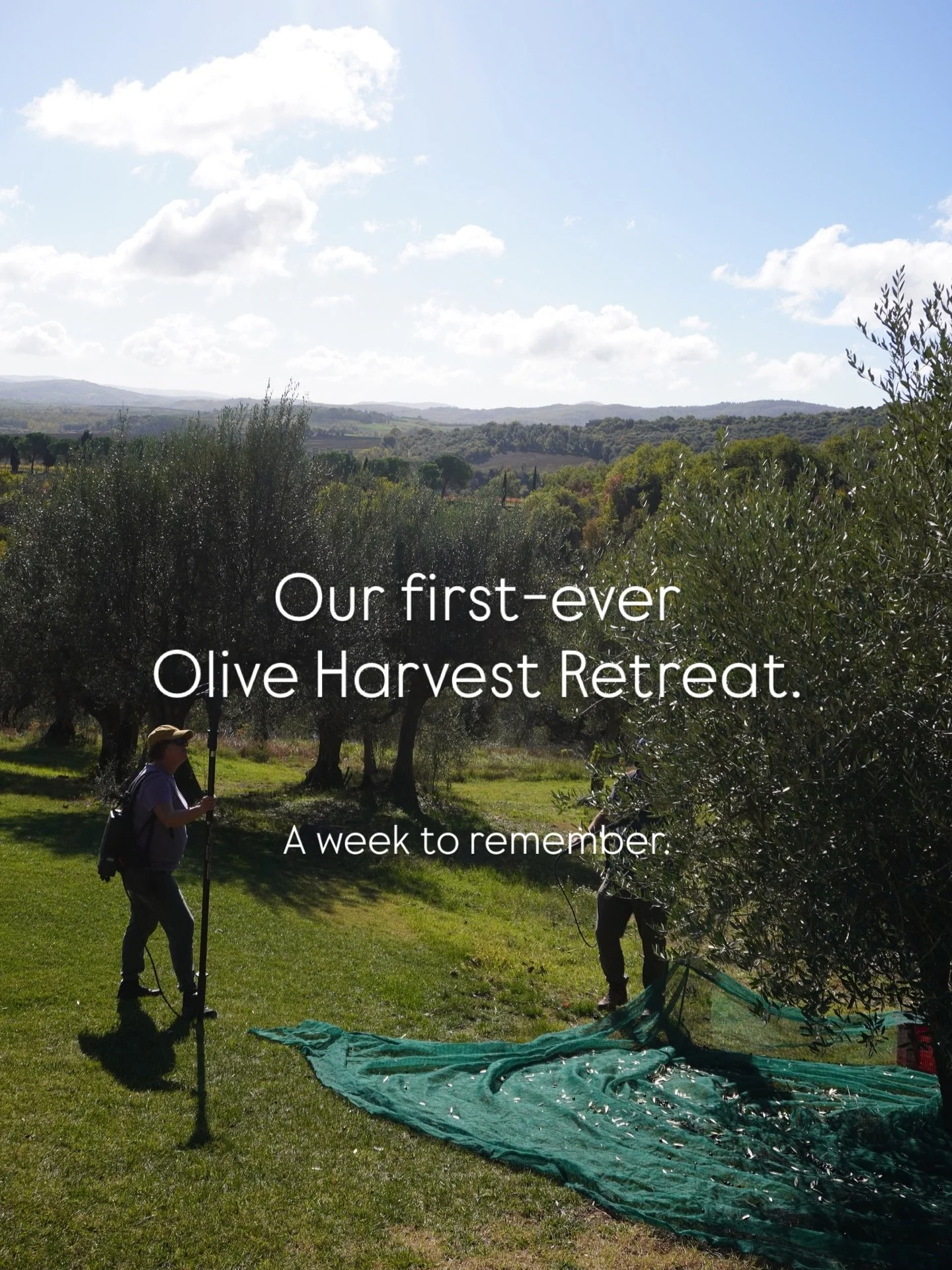 Our first-ever Olive Harvest Retreat has come to a close &mdash; a week of connection, local traditions, and experiencing Umbria the way it&rsquo;s meant to be lived.

From truffle hunting in the woods to harvesting in the groves, tasting wines with 