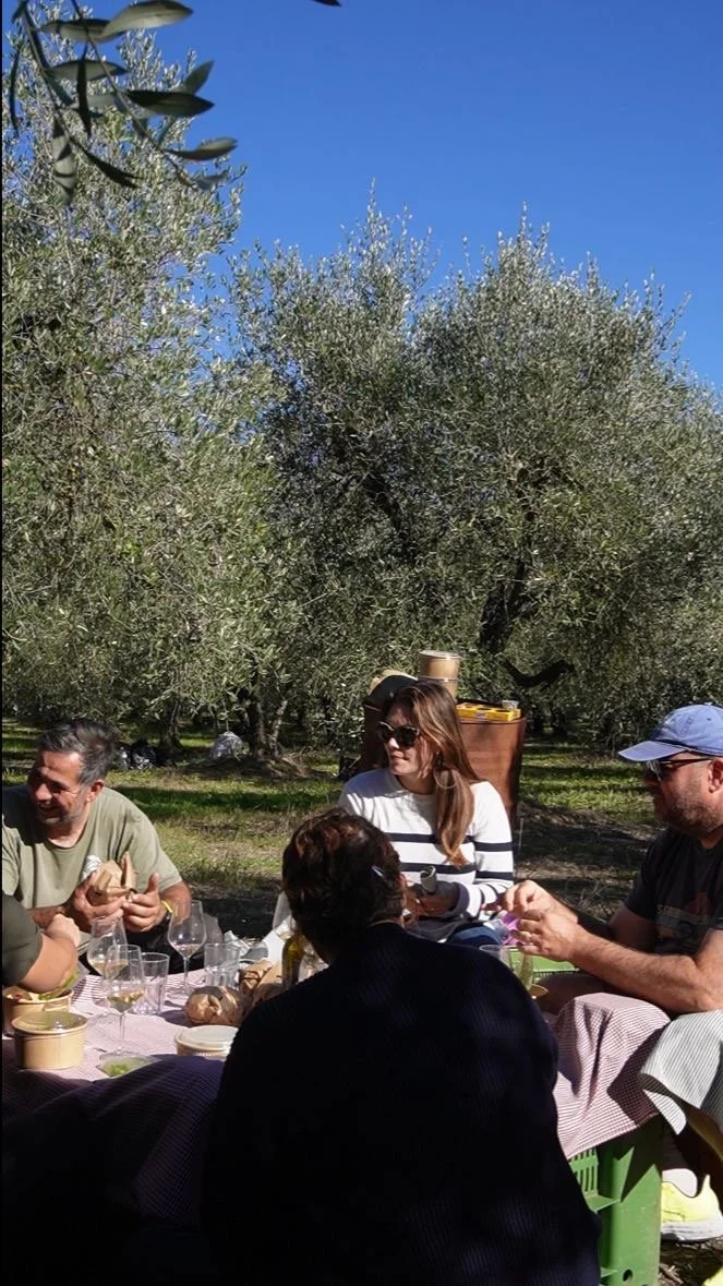 picnic with guests.JPG