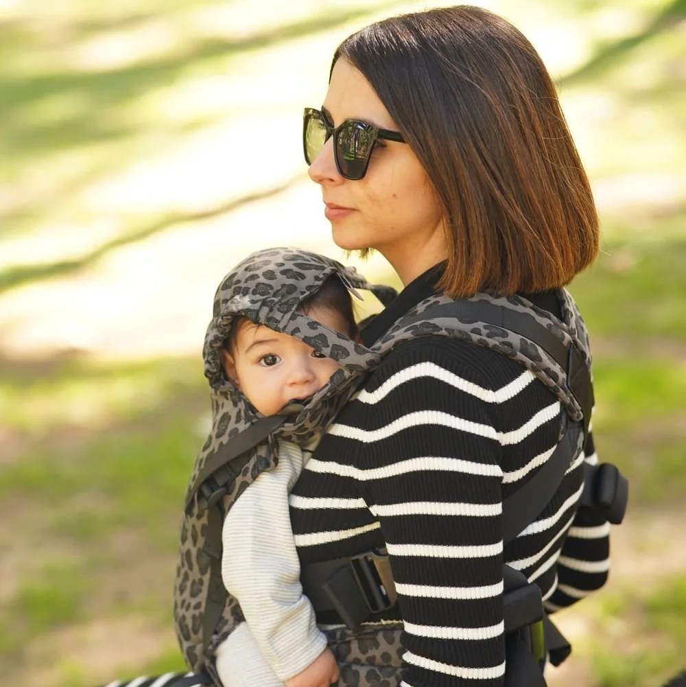 Zebulo grey leopard 2.jpg