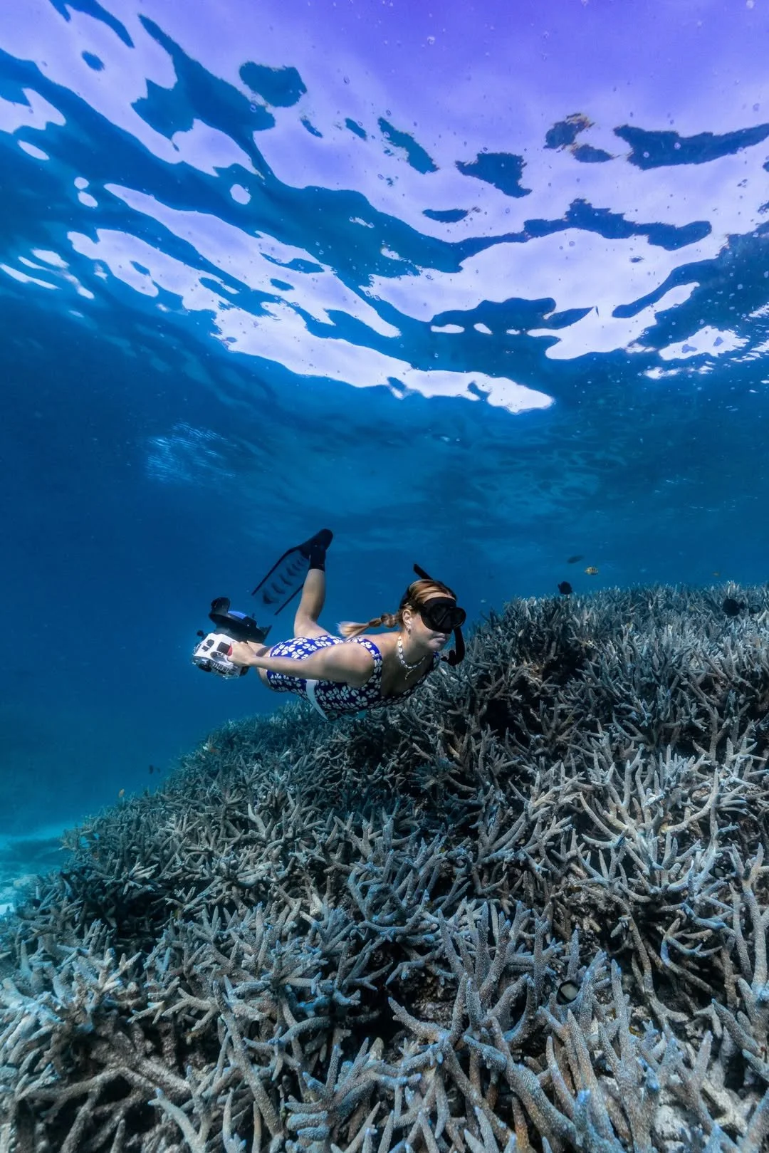 Winki Lola Cove - Boyleg 1mm Neoprene One Piece Swimsuit