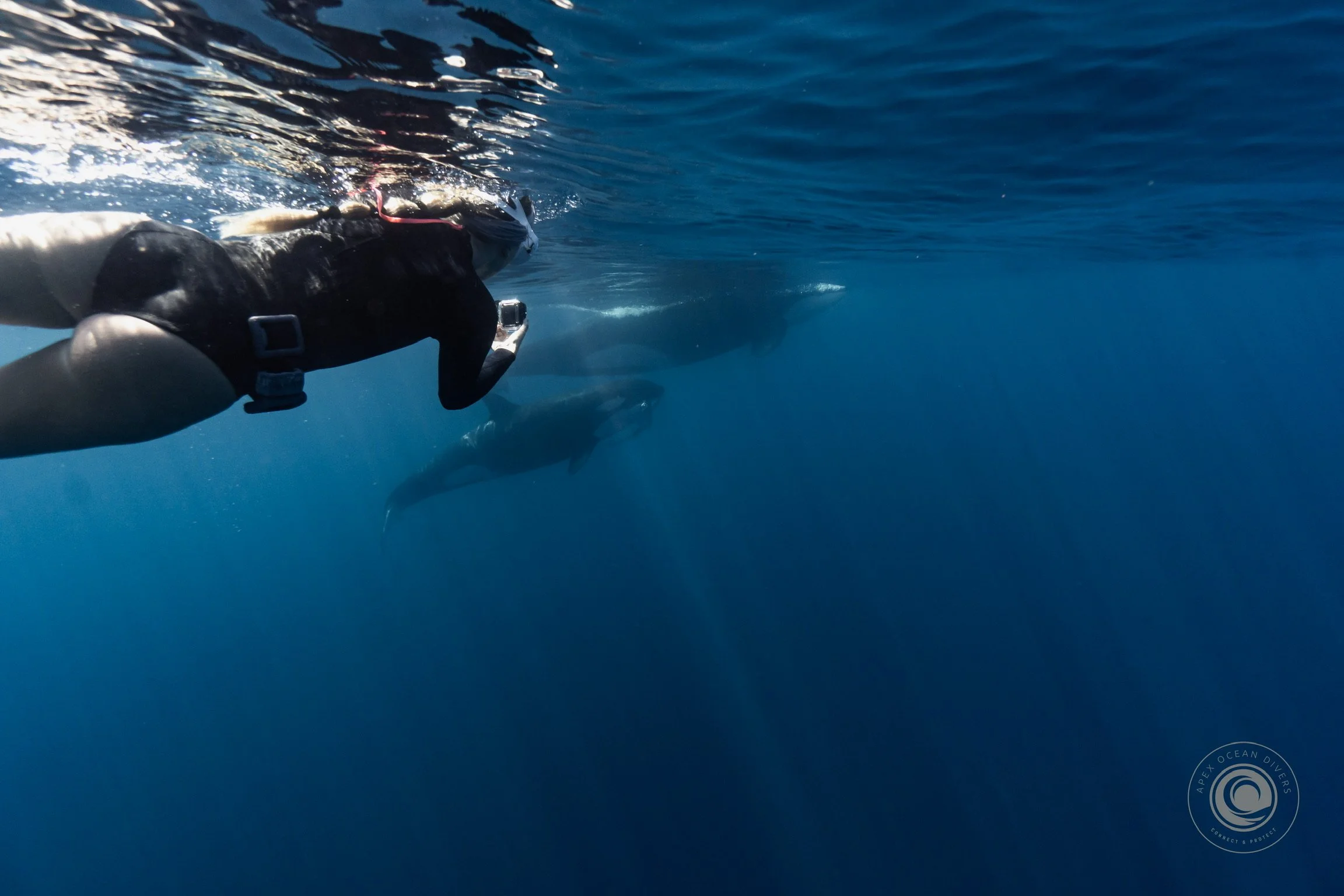 Women of Water: Meet Alex