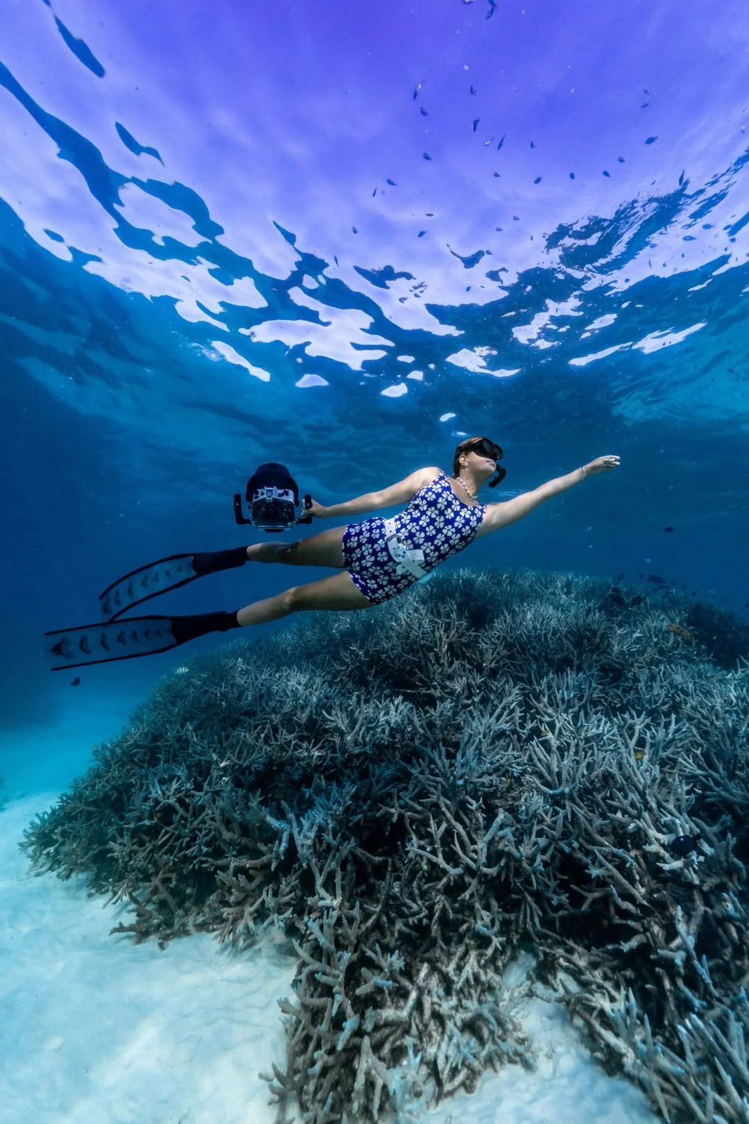 Winki Lola Cove - Boyleg 1mm Neoprene One Piece Swimsuit