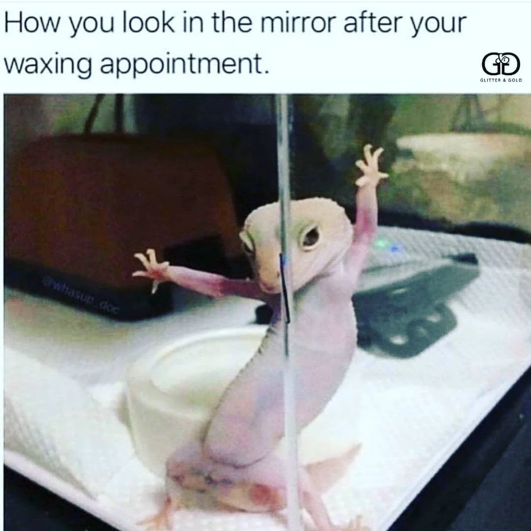 Glitter & Gold Waxing and Skincare in Colorado Springs, CO