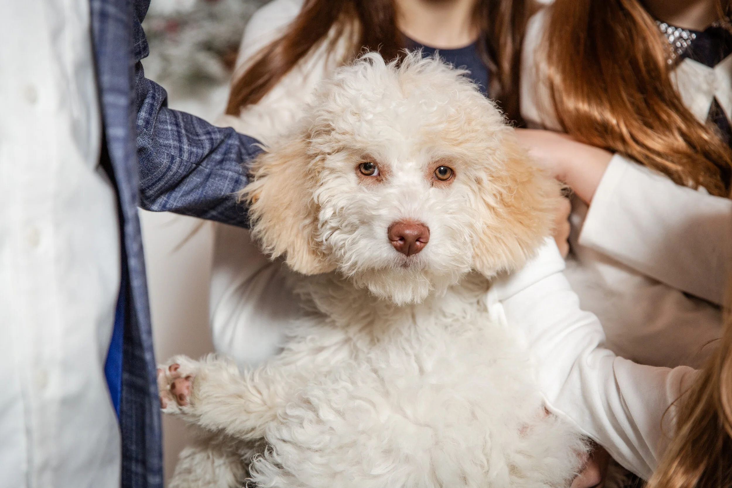 Puppy love