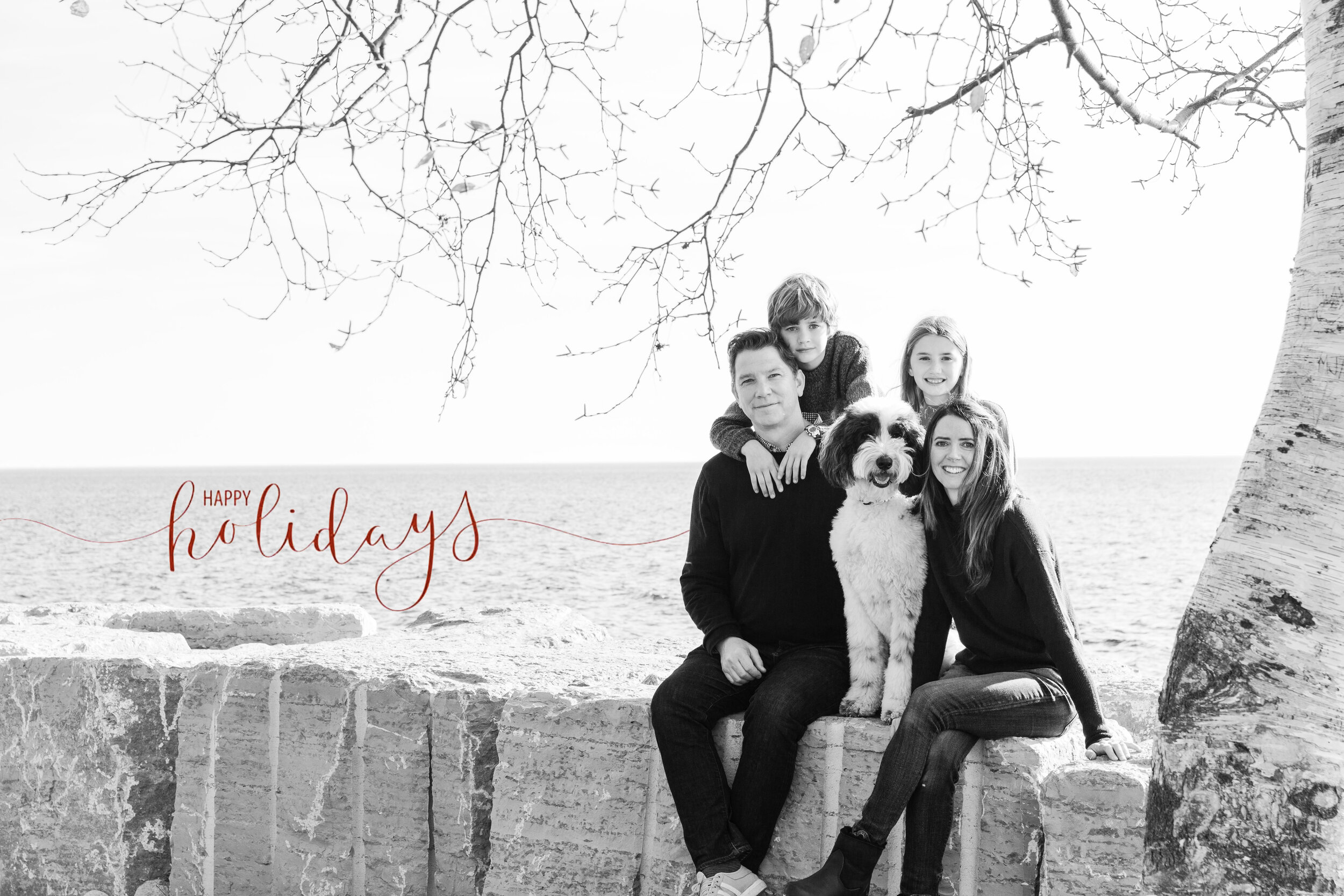 Happy holidays