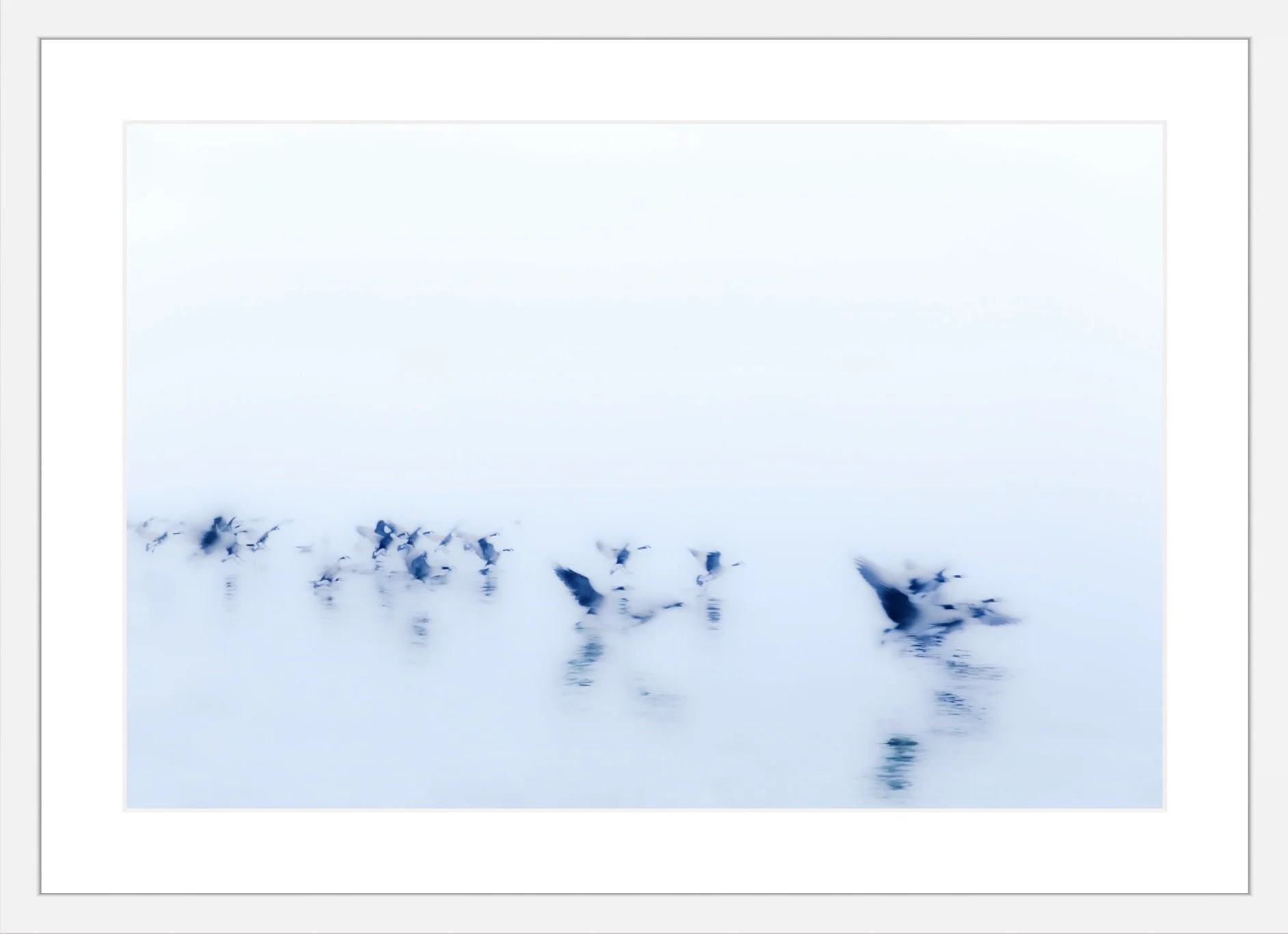 The Flock.jpeg