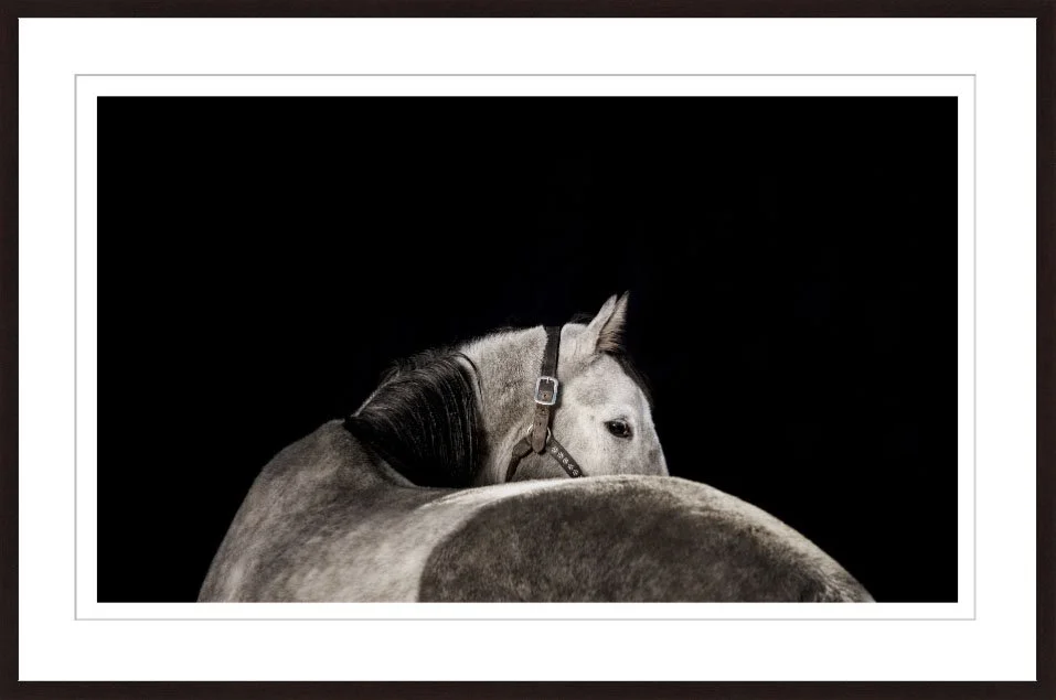 Fine art print 2.jpg