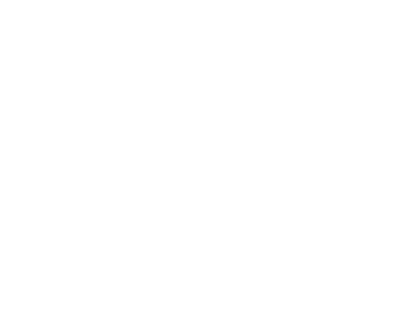 TEDDY'S BULLY BAR