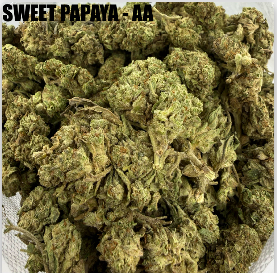 SWEET PAPAYA  - CHEAPS