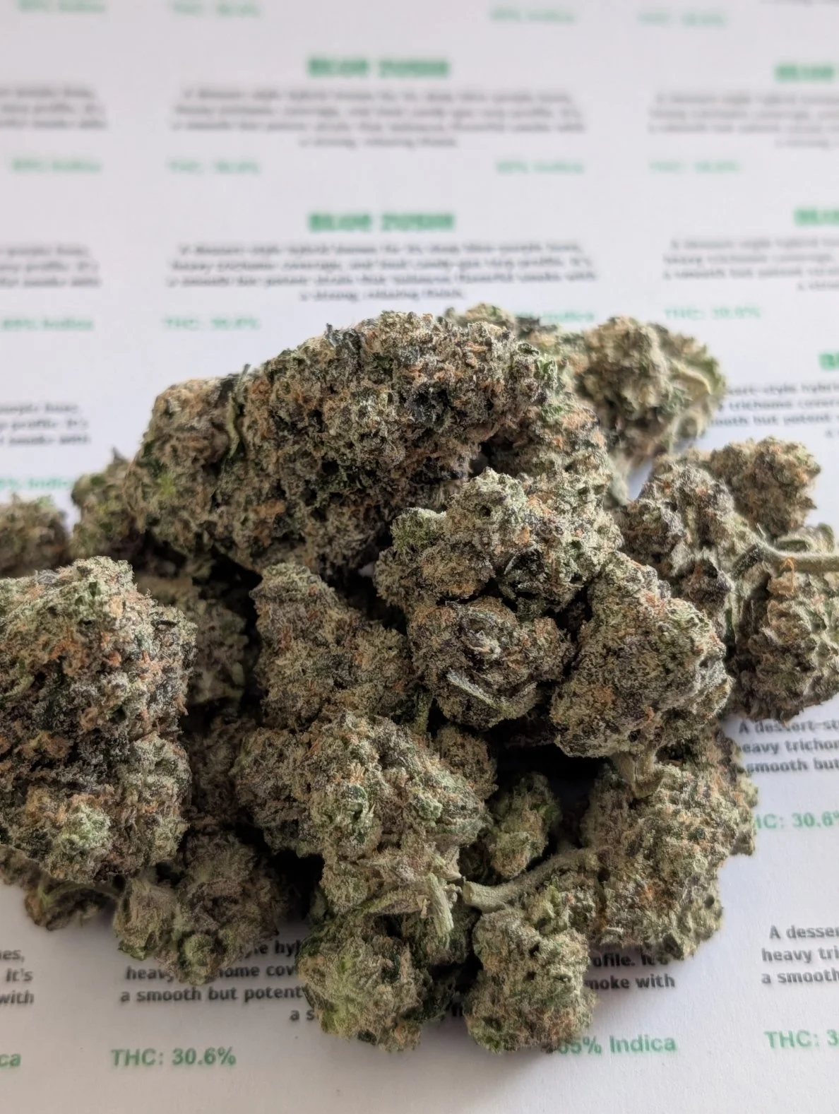 sin city - blue zushi 3.jpg