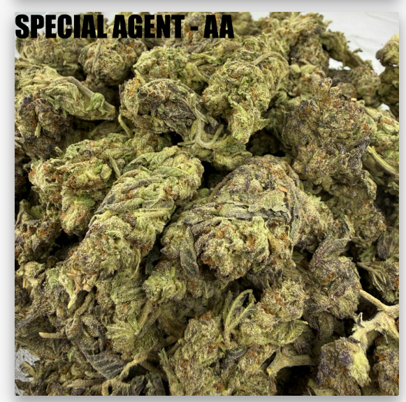 SPECIAL AGENT - CHEAPS