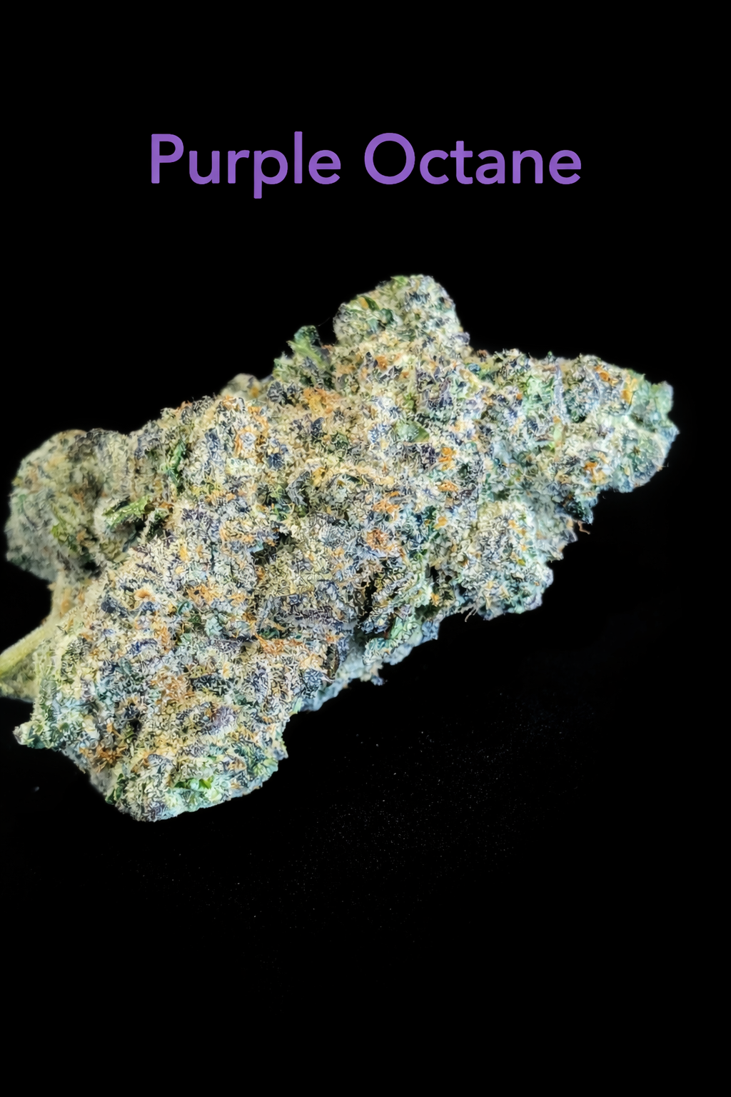 SKUNCLES - PURPLE OCTANE 2.png
