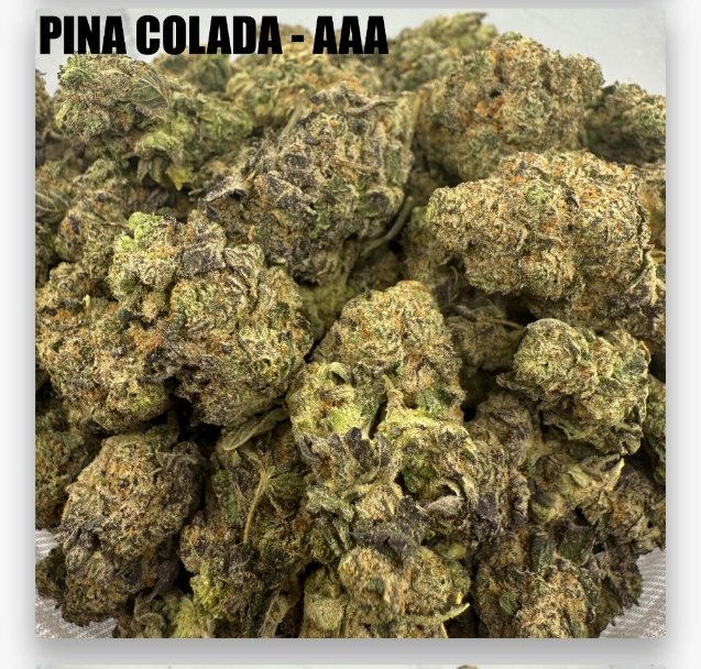 PINA COLADA - MIDS
