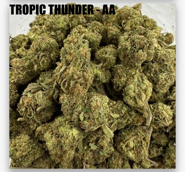 TROPIC THUNDER - CHEAPS