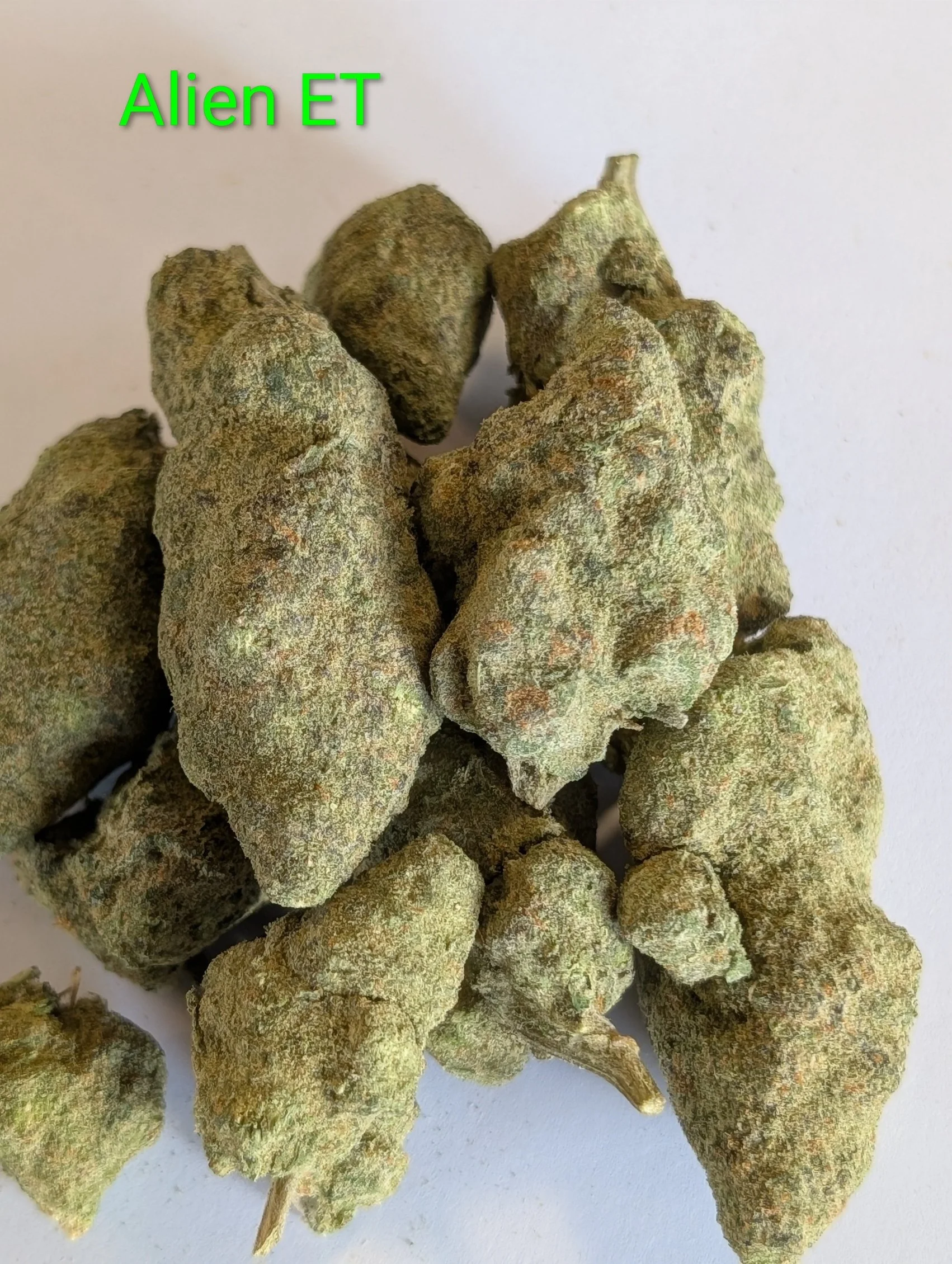 Alien Et Mids 3.jpg