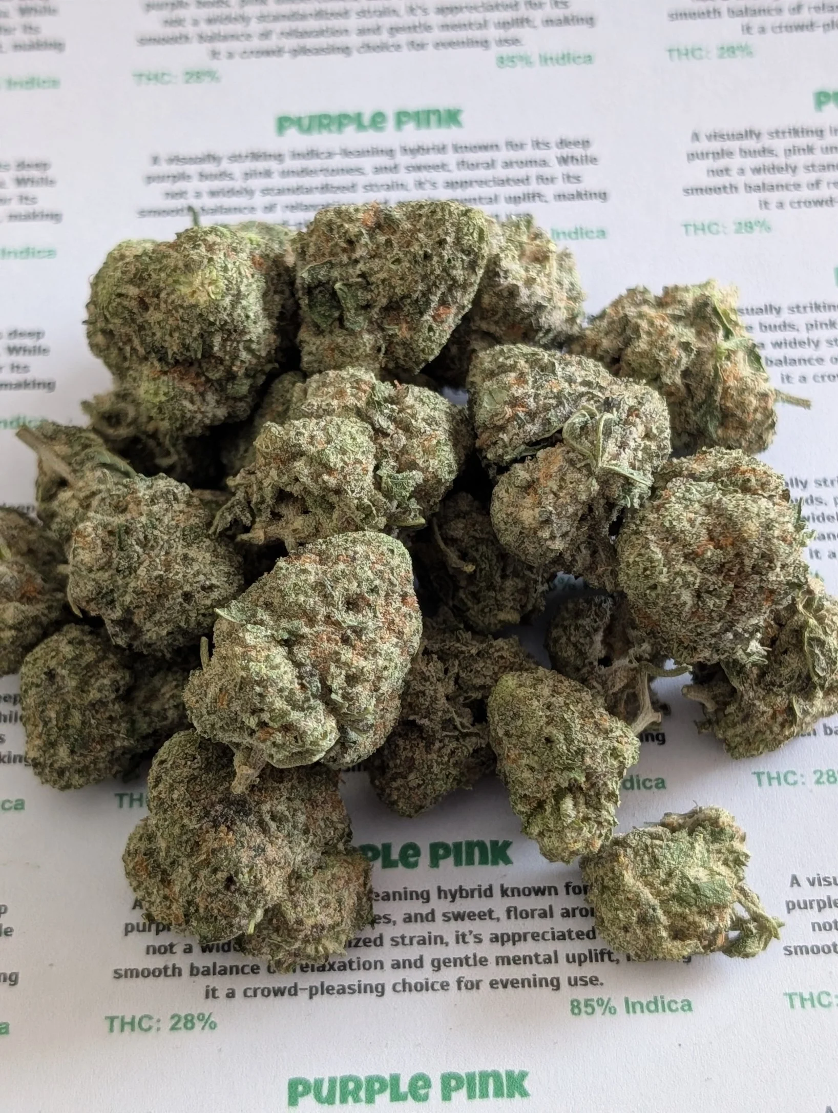 sin city - purple pink 3.jpg