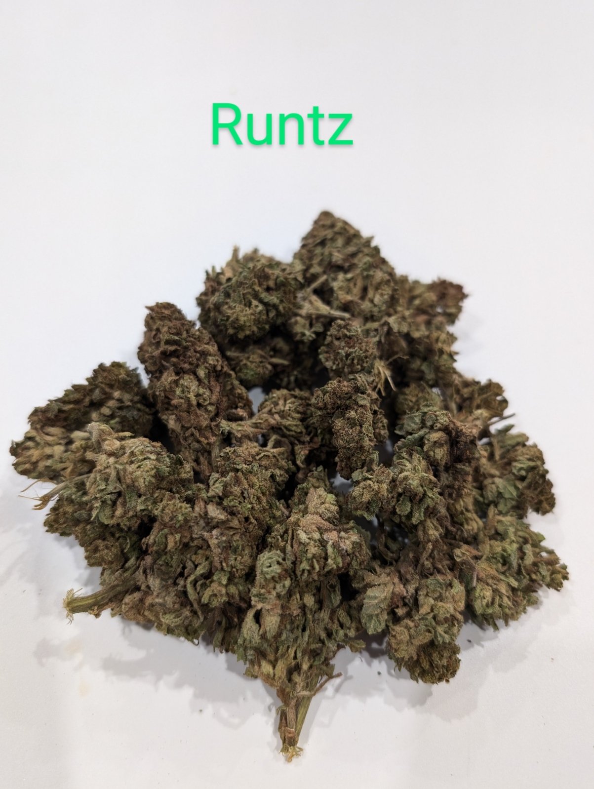 RUNTZ3 - CHEAPS.jpg