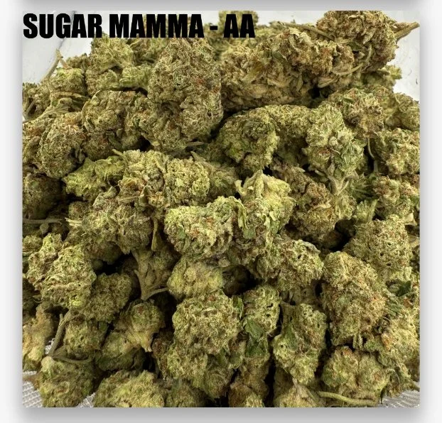 SUGAR MAMA - CHEAPS