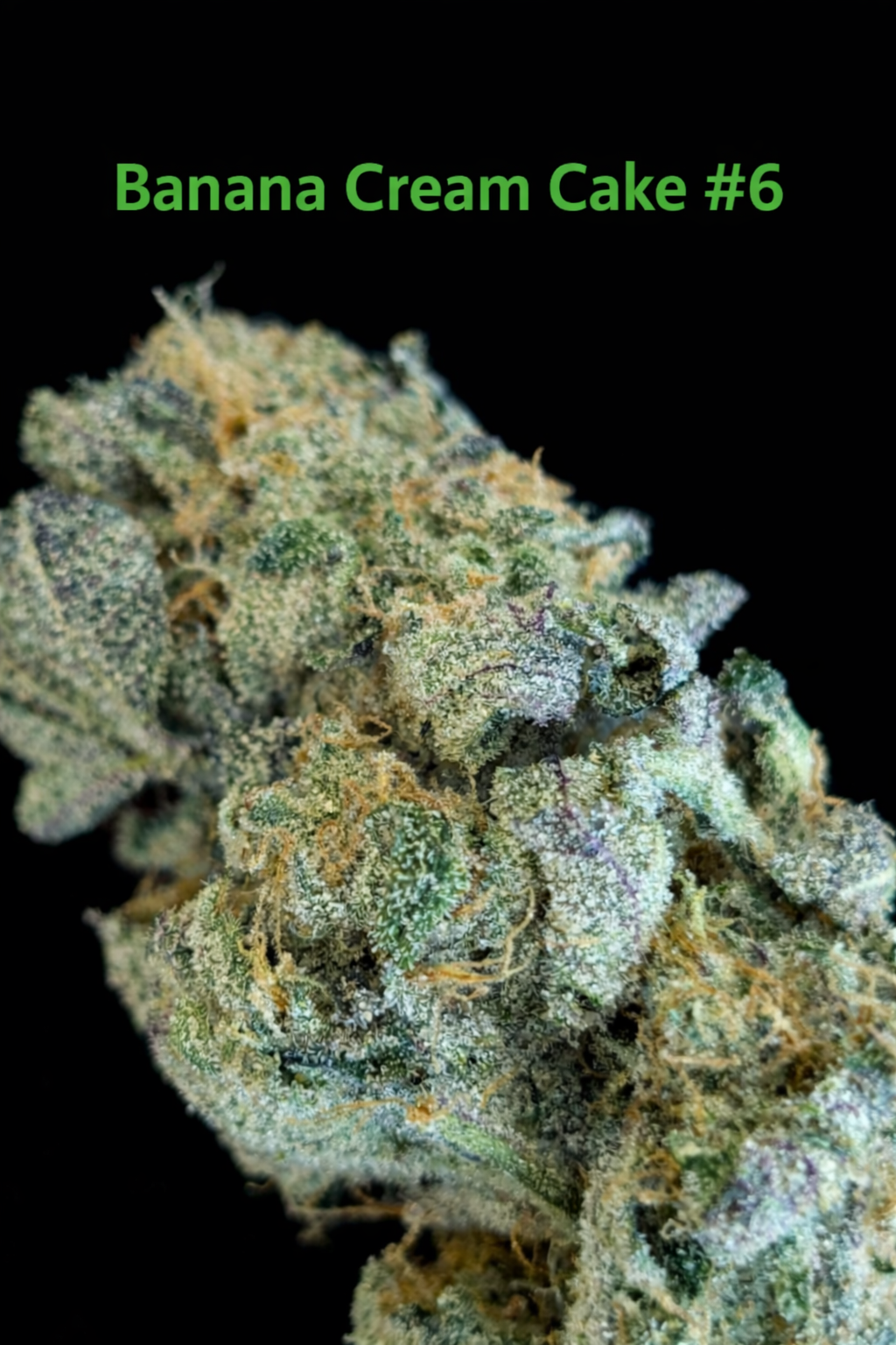Fire Handler Exotics - Banana Cream Cake#6 1.png