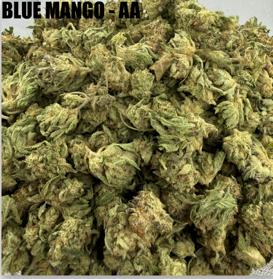 BLUE MANGO  - CHEAPS