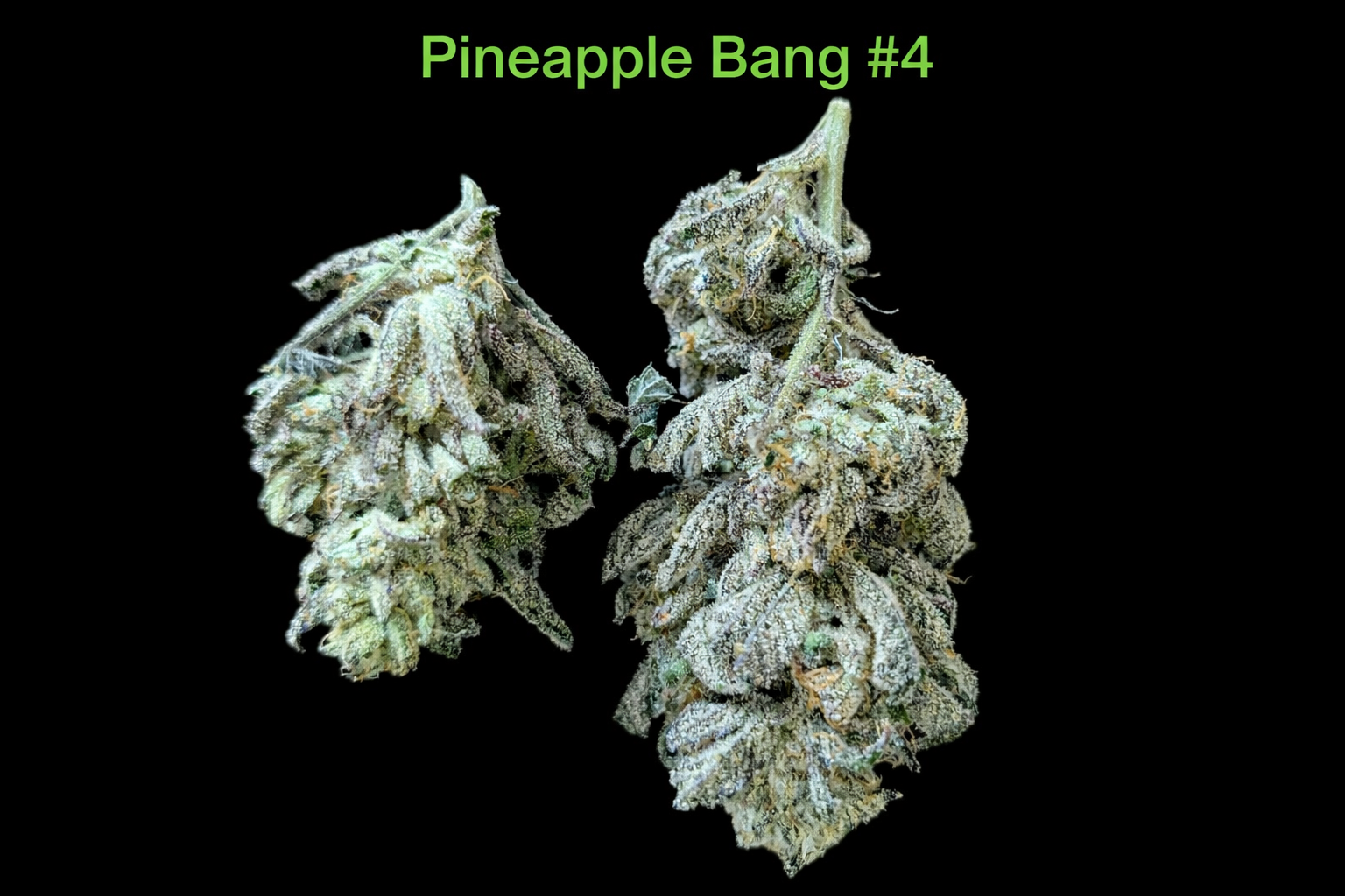 Fire Handler Exotics - Pineapple Bang #4 3.png