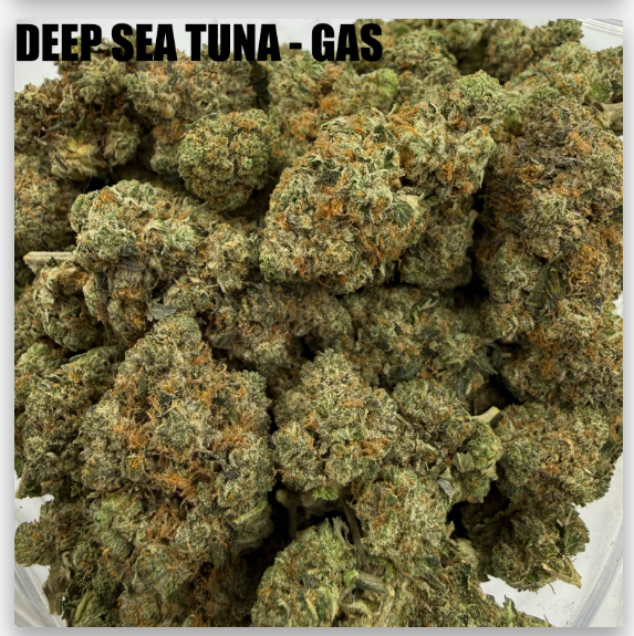 McFly's - deep sea tuna.png