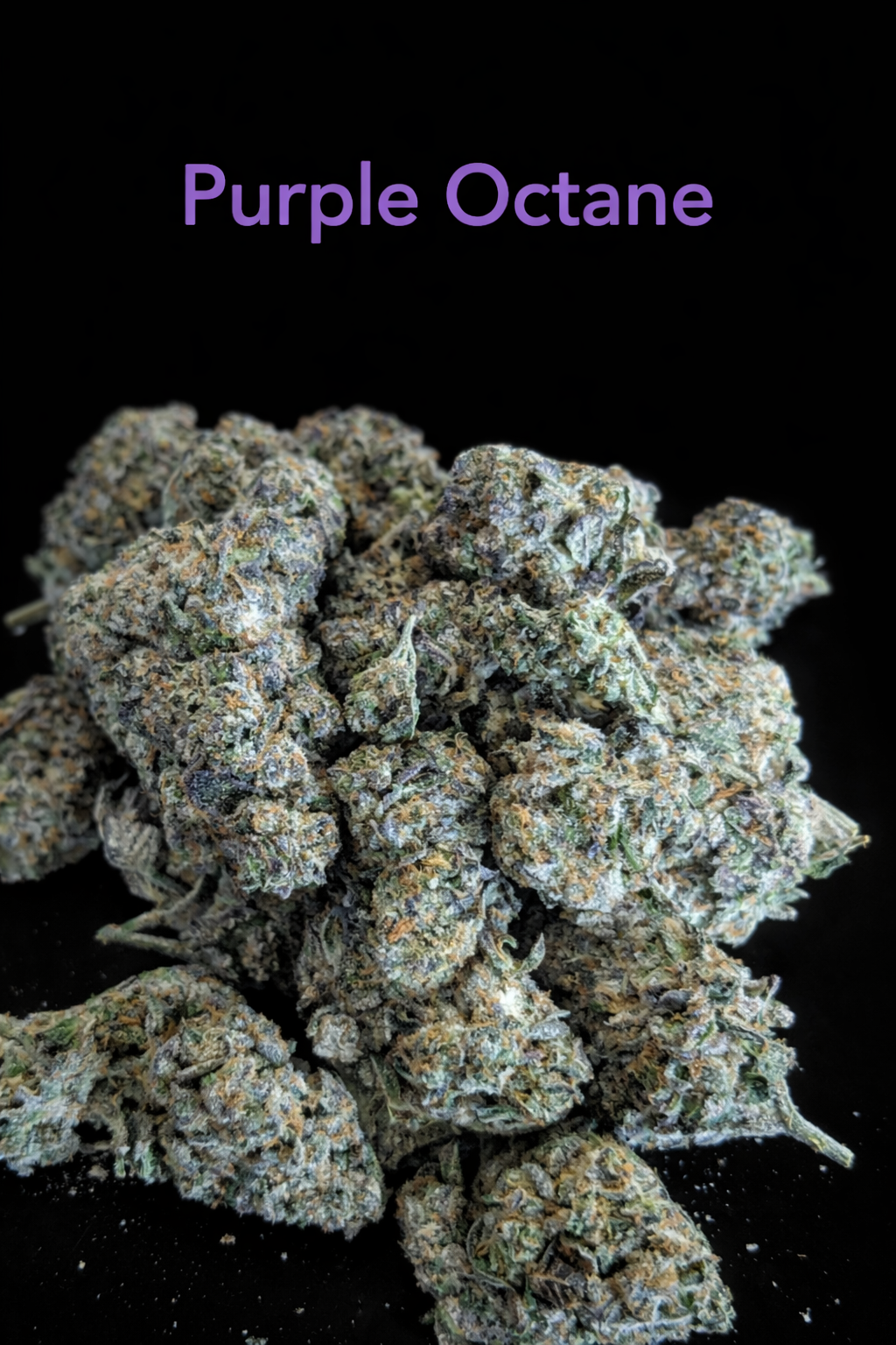 SKUNCLES - PURPLE OCTANE 3.png