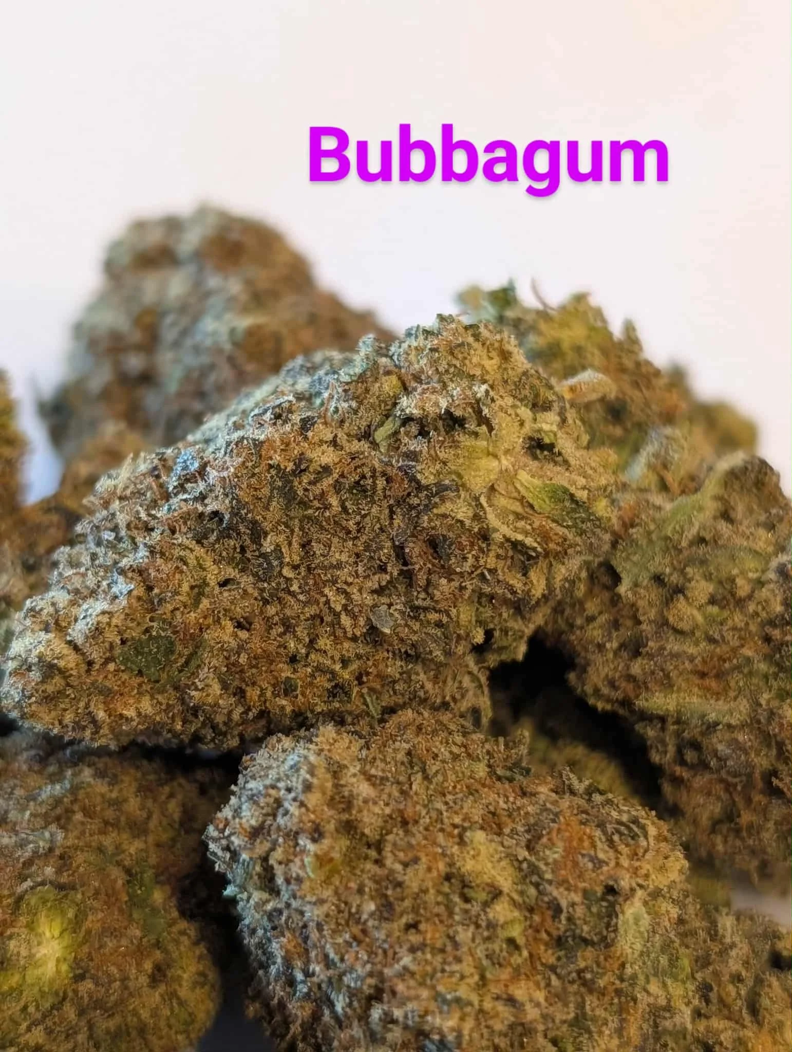 mcfly's 2.0 - bubbagum  2.jfif