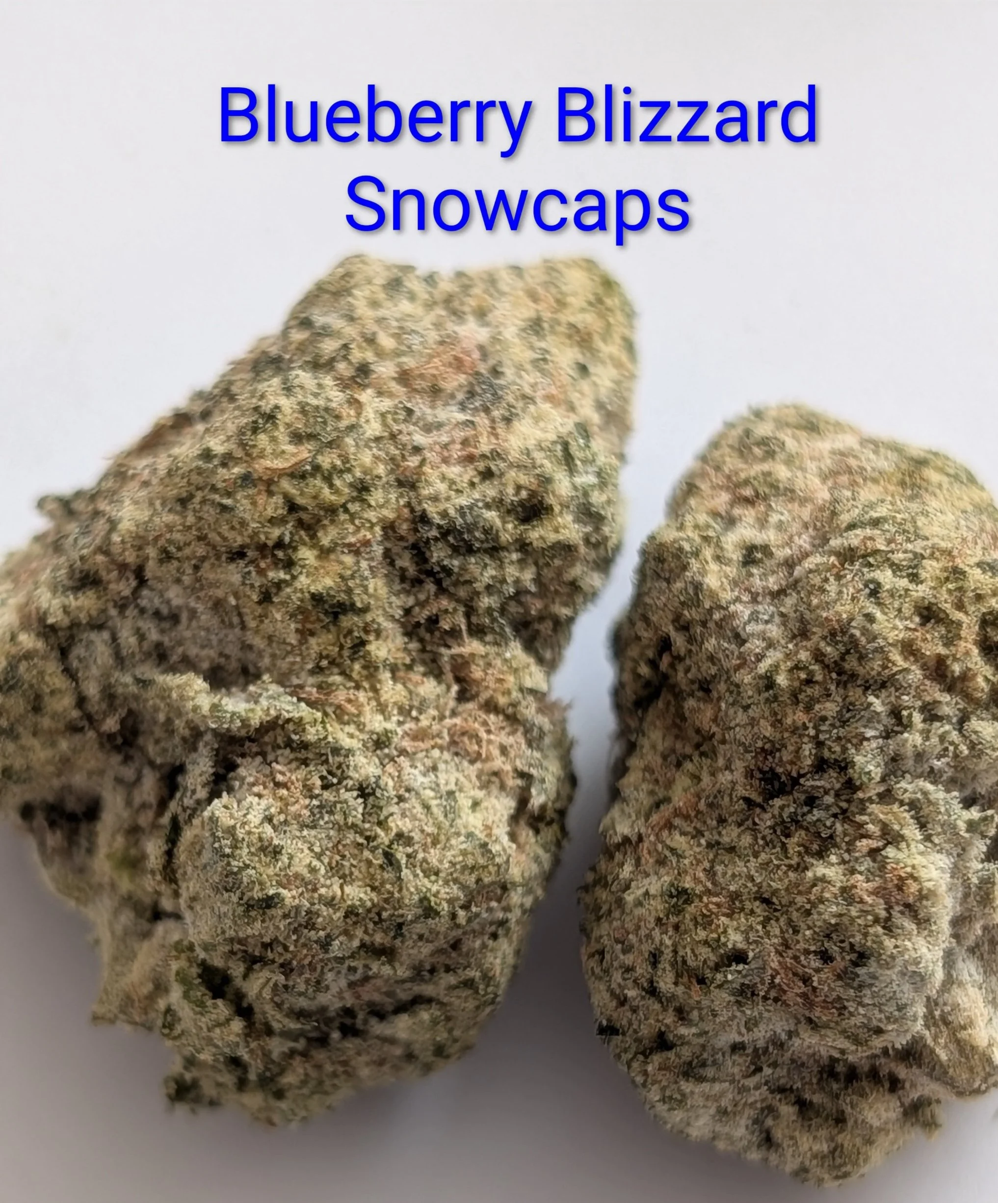 Bluebberry Blizzard Snowcaps 1.jpg