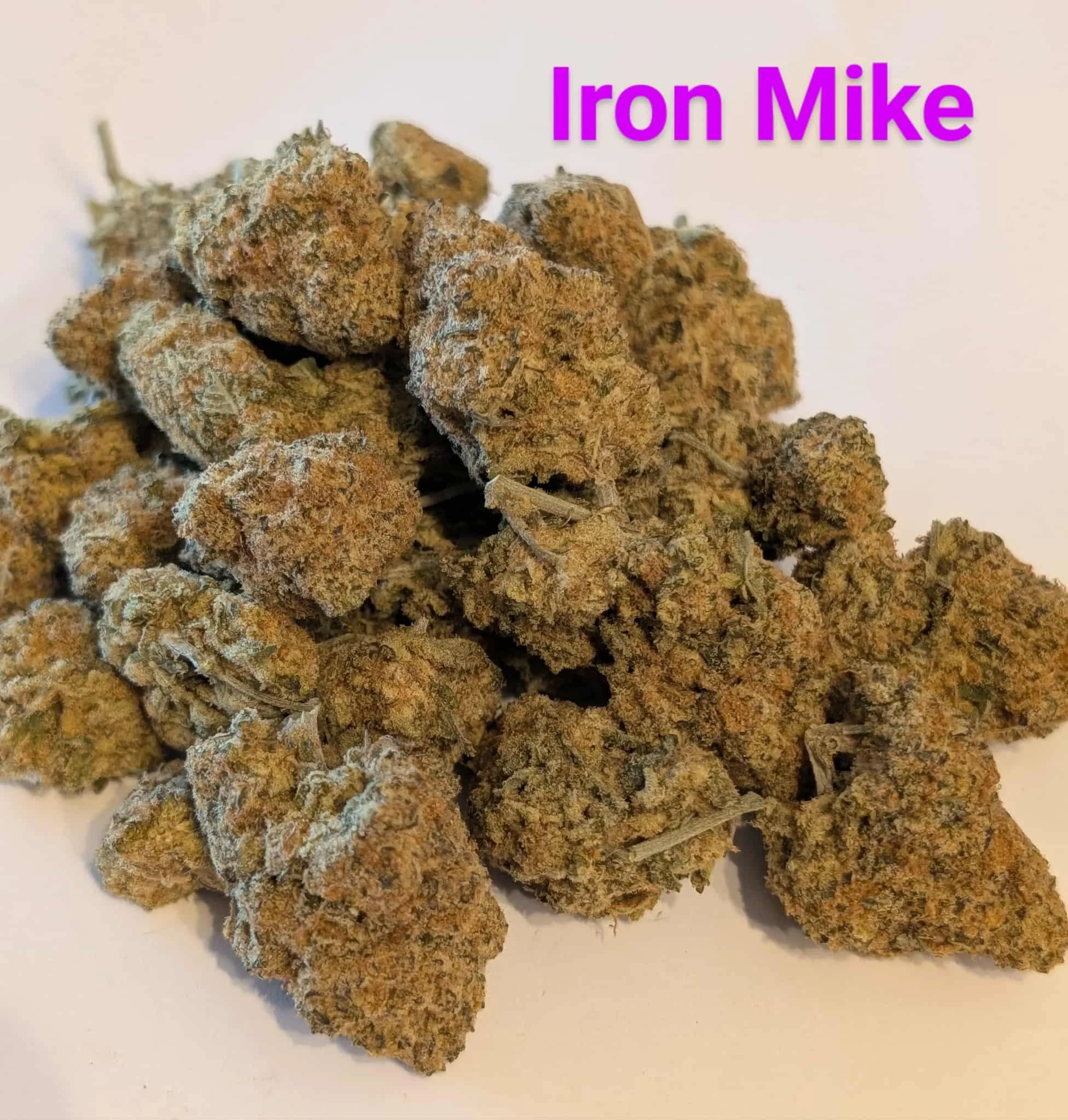 mcfly's 2.0 - iron mike 3.jfif