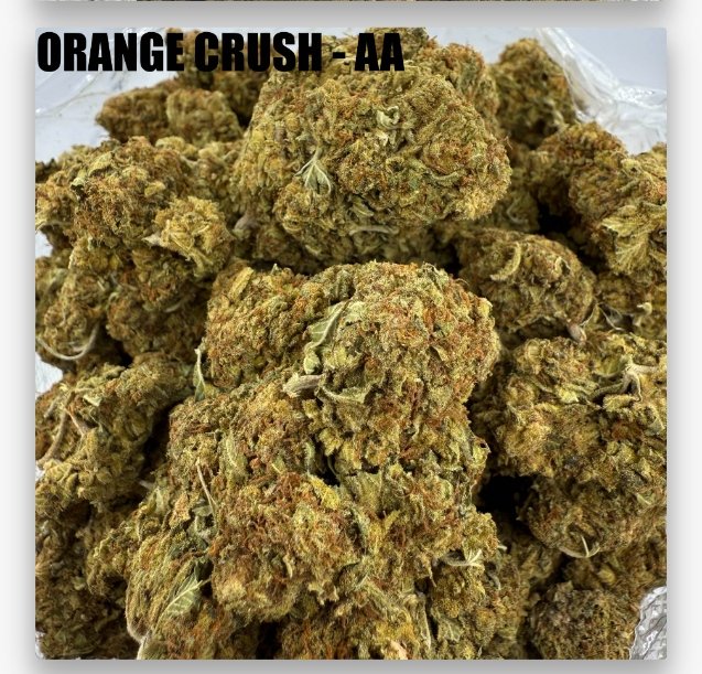 ORANGE CRUSH - CHEAPS