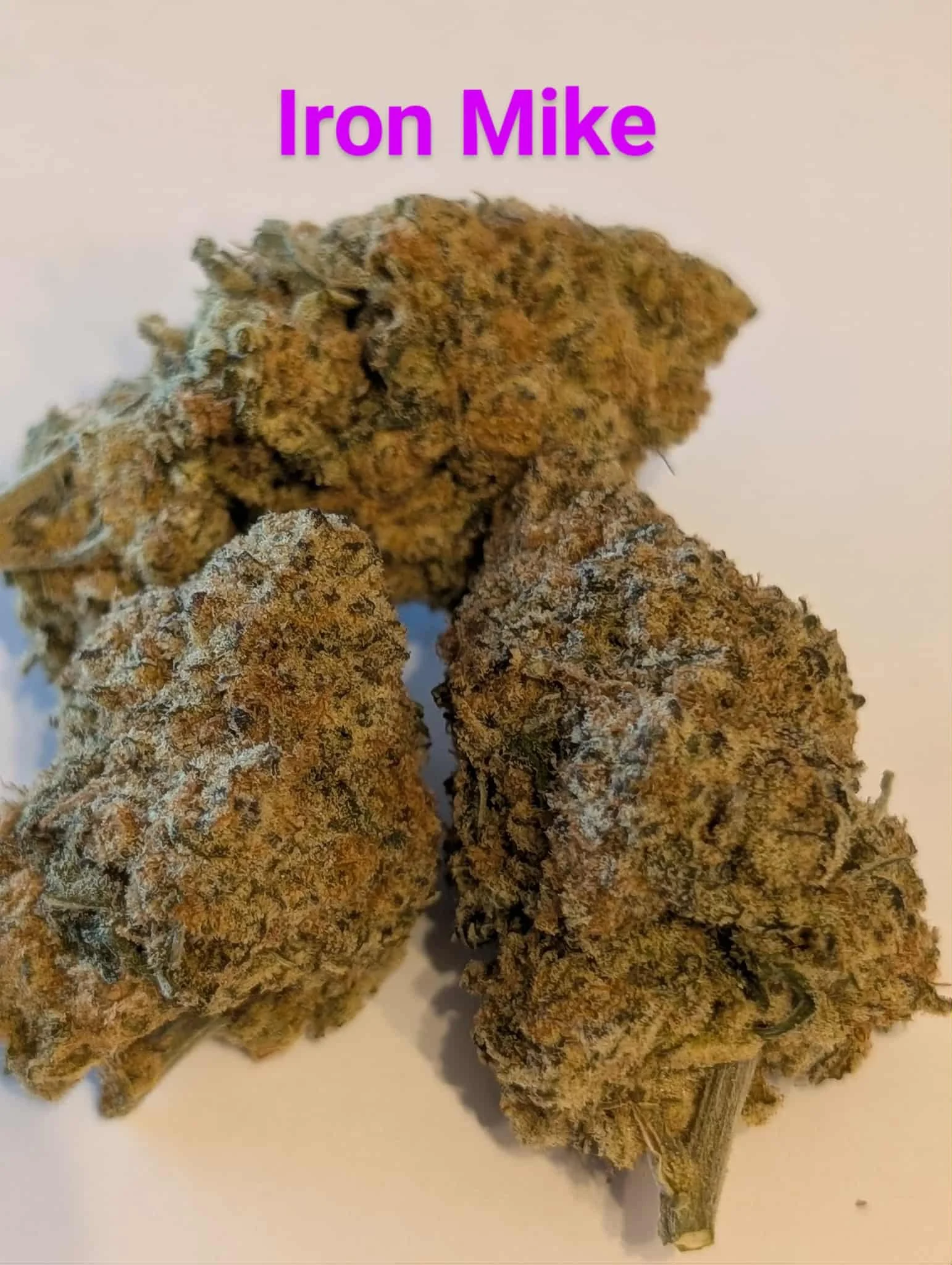 mcfly's 2.0 - iron mike 1.jfif