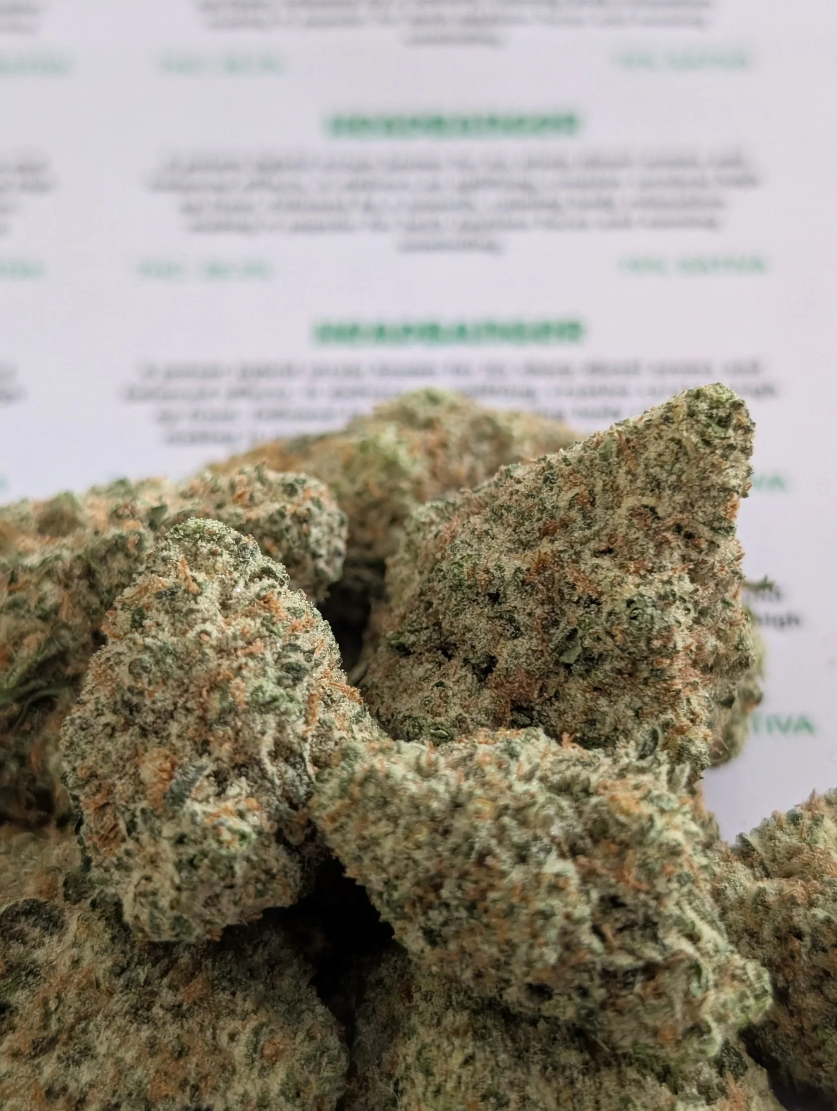 sin city - headbanger 2.jpg